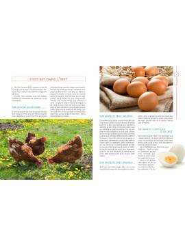 POULES