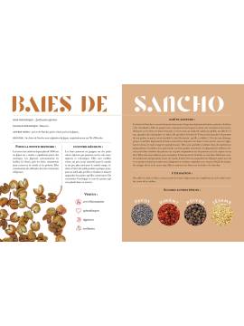 CONNAÎTRE, MARIER ET SAVOURER LES EPICES