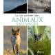 LA VIE CACHEE DES ANIMAUX SAUVAGES
