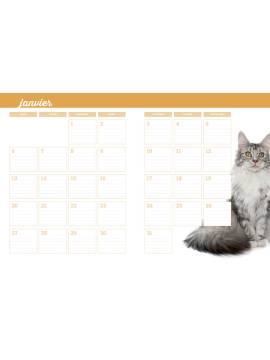L'ALMANACH DU CHAT 2025