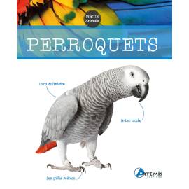PERROQUETS