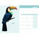 AGENDA OISEAUX 2026