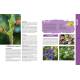 L'ALMANACH DU JARDINIER 2025