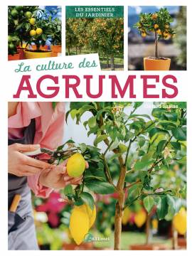 LA CULTURE DES AGRUMES