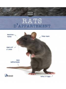 RATS D'APPARTEMENT