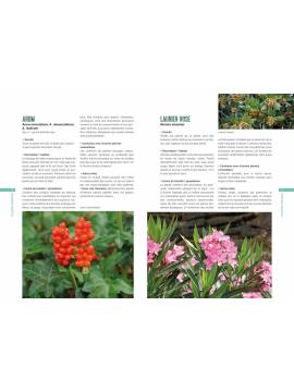 PLANTES TOXIQUES