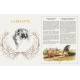 MYSTERES & LEGENDES DES ANIMAUX DE FRANCE