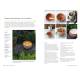 POTIONS, ELIXIRS & SOLUTIONS NATURELS