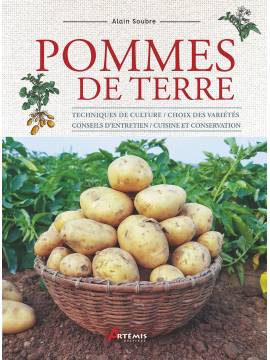 POMMES DE TERRE