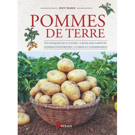 POMMES DE TERRE