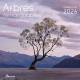 CALENDRIER ARBRES REMARQUABLES 2026