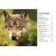 LE LOUP