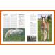 ENCYCLOPEDIE PRATIQUE DU CHEVAL ET DU CAVALIER