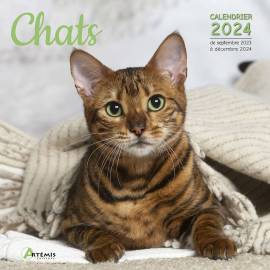 CALENDRIER CHATS 2024