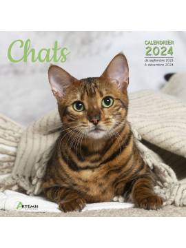 CALENDRIER CHATS 2024