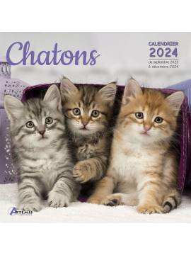 CALENDRIER CHATONS 2024