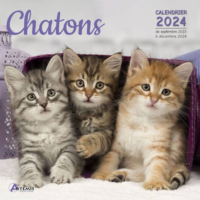 PERIODIQUE CALENDRIER CHATONS 2024