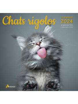 CALENDRIER CHATS RIGOLOS 2024