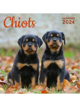 CALENDRIER CHIOTS 2024