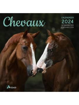 CALENDRIER CHEVAUX 2024