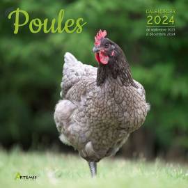 CALENDRIER POULES 2024