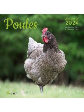 CALENDRIER POULES 2024