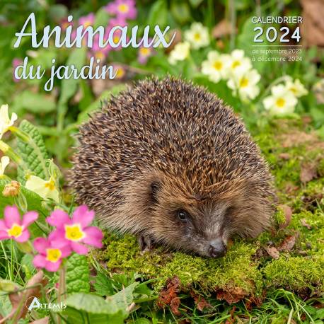  Calendrier Bébés animaux 2024 - COLLECTIF - Livres