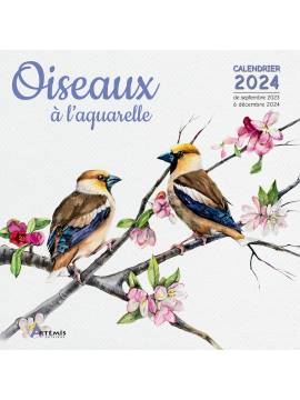 CALENDRIER OISEAUX A L'AQUARELLE 2024