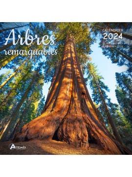 Calendrier 2024 Animaux de la forêt