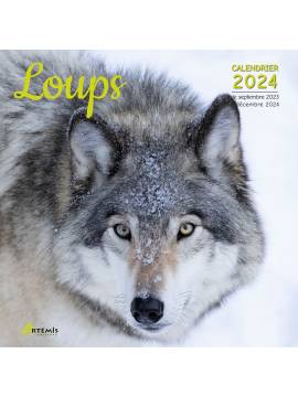 CALENDRIER LOUPS 2024