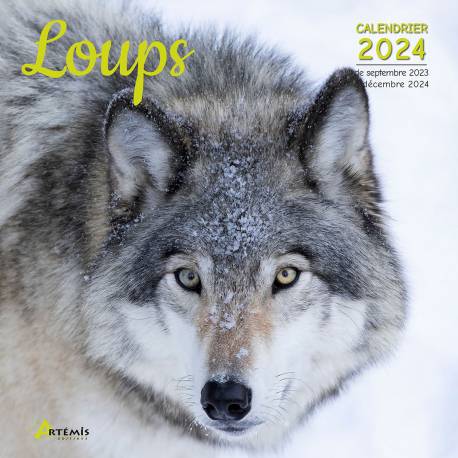 CALENDRIER LOUPS 2024
