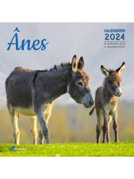 CALENDRIER ÂNES 2024