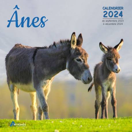 CALENDRIER ÂNES 2024