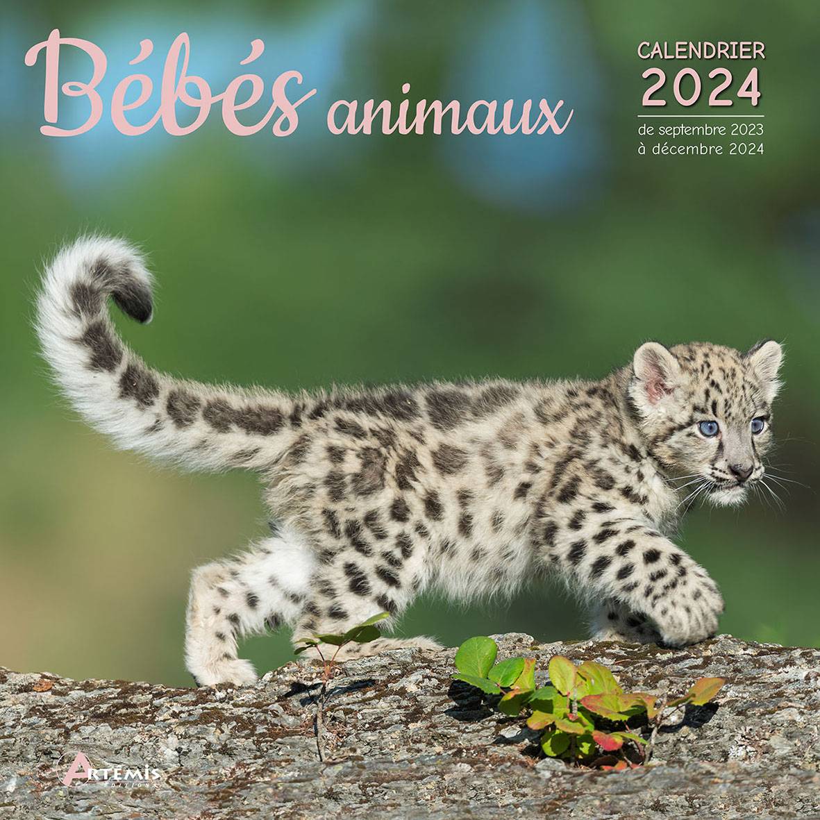 PERIODIQUE CALENDRIER BEBES ANIMAUX 2024