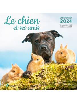 CALENDRIER LE CHIEN ET SES AMIS 2024