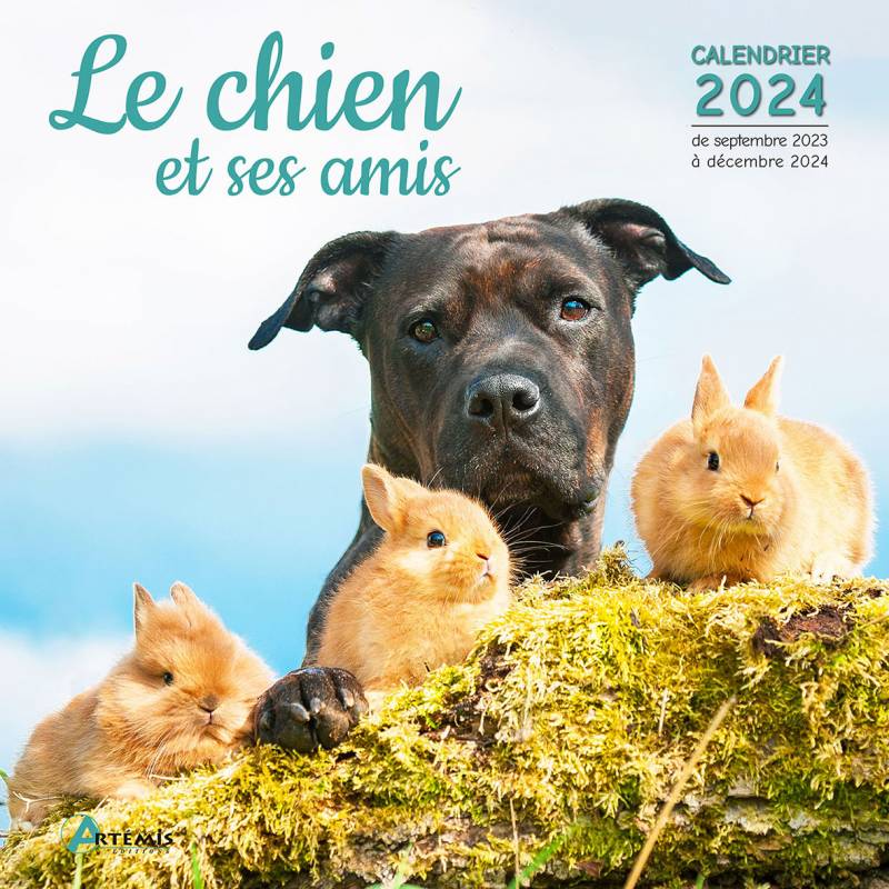 PERIODIQUE CALENDRIER BEBES ANIMAUX 2024