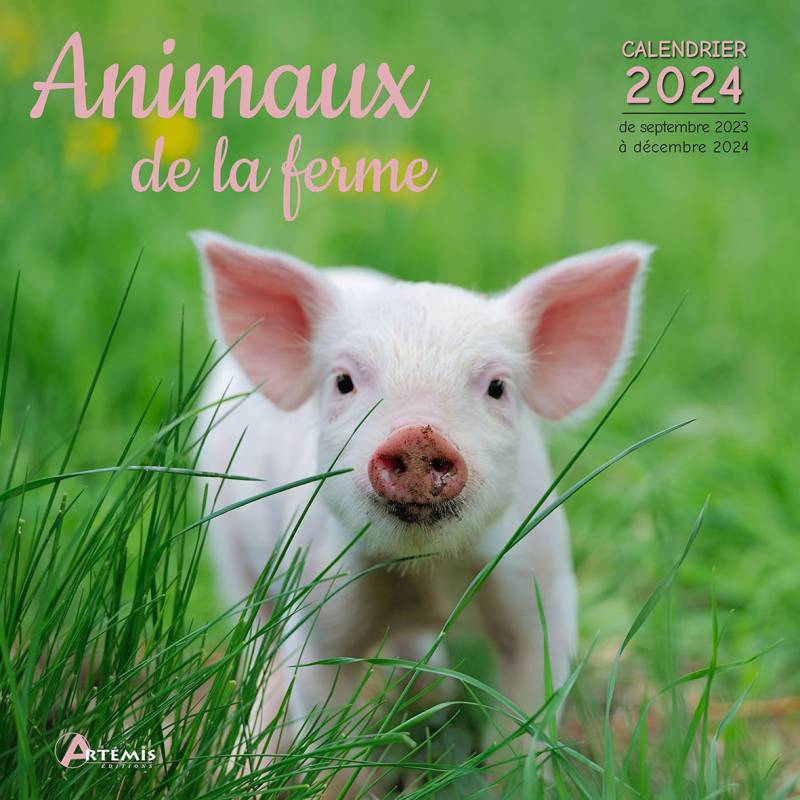 Calendrier Chevaux - artemis - 9782816016659 - Livre 