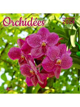 CALENDRIER ORCHIDEES 2024