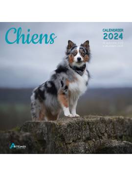 CALENDRIER CHIENS 2024