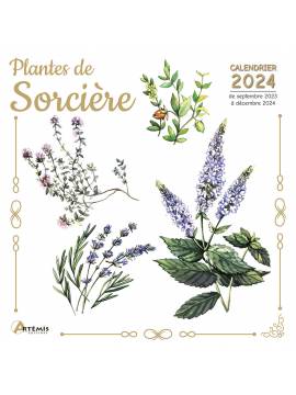 CALENDRIER PLANTES DE SORCIERE 2024