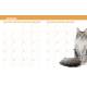 L'ALMANACH DU CHAT 2025
