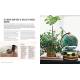 MA DECO INTERIEURE AVEC DES PLANTES PROJETS DIY