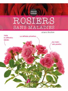 ROSIERS SANS MALADIES