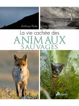 LA VIE CACHÉE DES ANIMAUX SAUVAGES