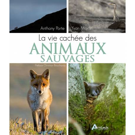 LA VIE CACHÉE DES ANIMAUX SAUVAGES