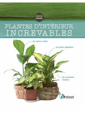 PLANTES D'INTERIEUR INCREVABLES