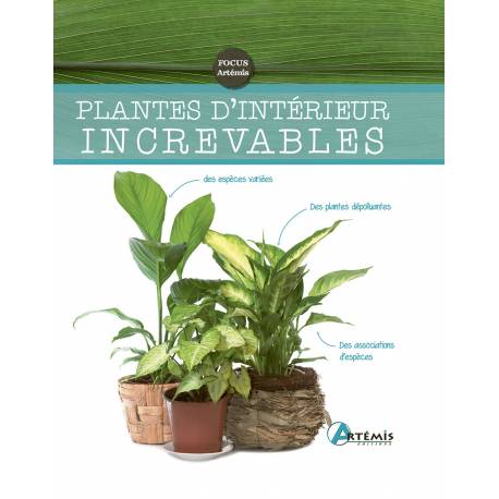 PLANTES D'INTERIEUR INCREVABLES