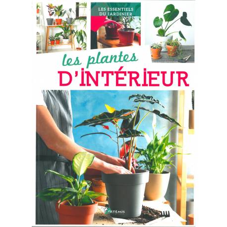 LES PLANTES D'INTÉRIEUR