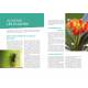 LES PLANTES D'INTERIEUR