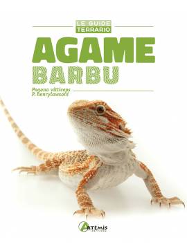 AGAME BARBU